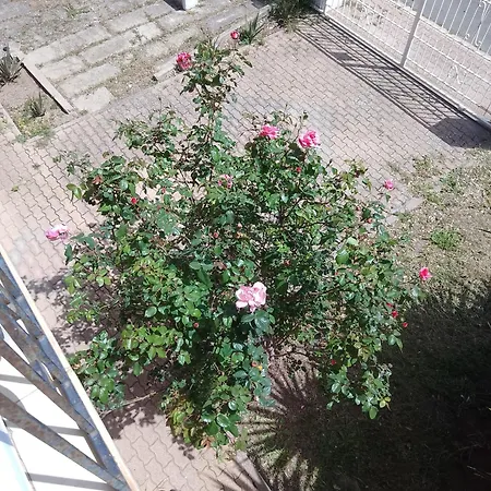 Accommodatie bij particulieren Smeralda Room's